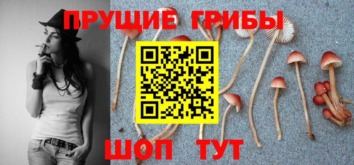Галлюциногенные грибы Magic Shrooms Саяногорск